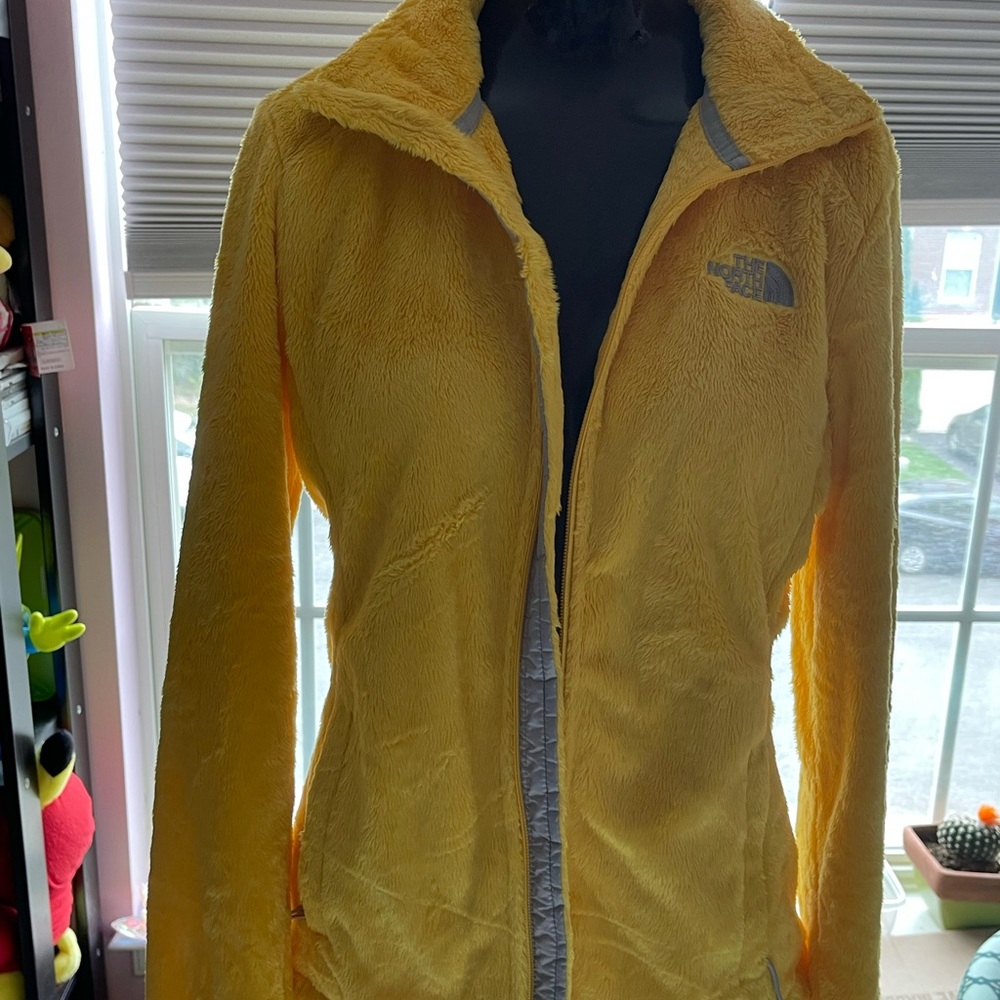 Yellow jacket